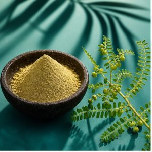 Phyllanthus Niruri Whole-Herb Extract Powder 15% Tannins hero image