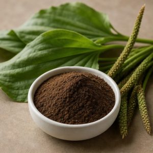 Plantain Leaf Extract Powder 4:1 hero image