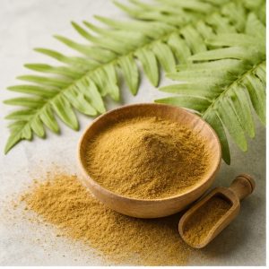 Polypodium Leucotomos Leaf Extract Powder 4:1 hero image