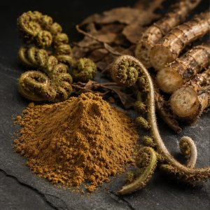 Polypodium Leucotomos Root Extract Powder 4:1 hero image
