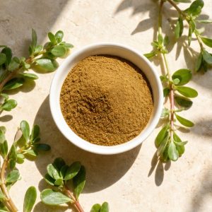 Purslane Whole-Plant Extract Powder 50% Saponins hero image