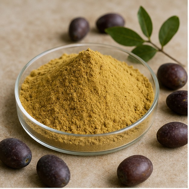 Pygeum Fruit Extract Powder 10:1 hero image