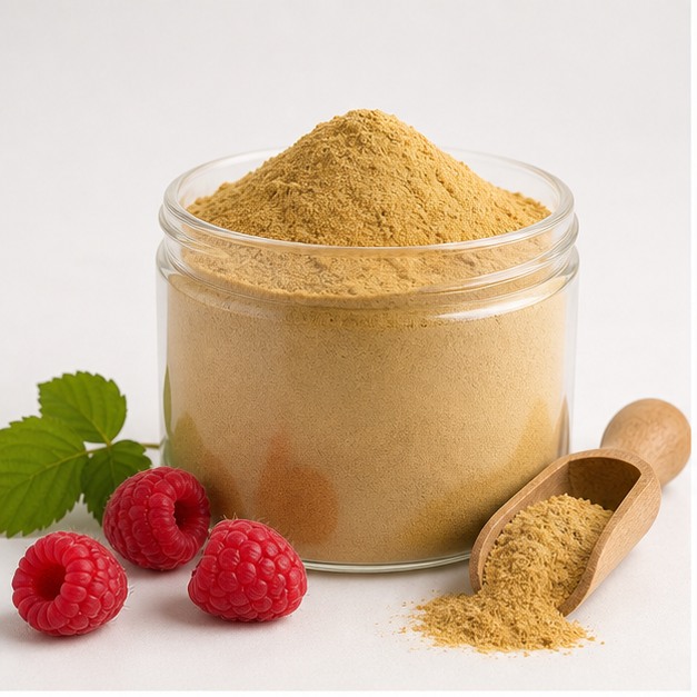Raspberry Fruit Extract Powder 10:1 hero image