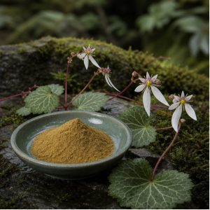 Saxifraga Stolonifera Whole-Herb Extract Powder 4:1 hero image