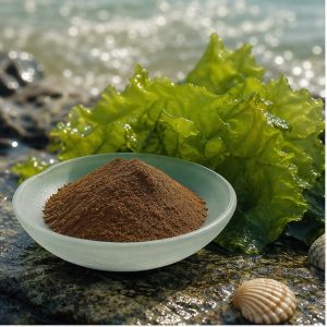 Sea Lettuce Whole-Herb Extract Powder 5:1 hero image