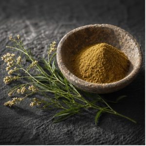Sericea Lespedeza Stem-and-Leaf Extract Powder 4:1 hero image