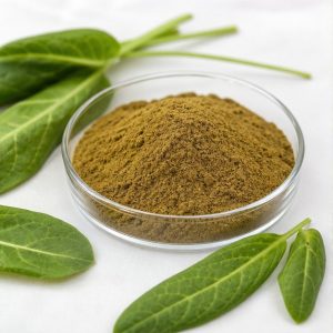 Sorrel Whole Herb Extract Powder 10:1 hero image