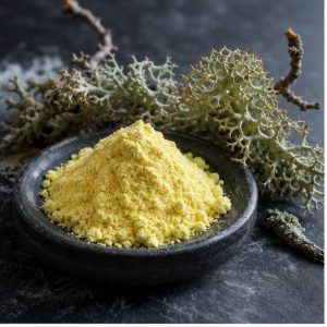 Usnic Acid Powder 98% Usnea Extract hero image
