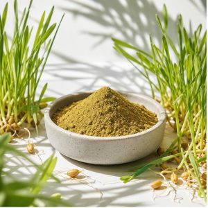 Wheat Sprout Extract Powder 2:1 hero image