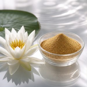 White Water Lily Flower Extract Powder 4:1 hero image