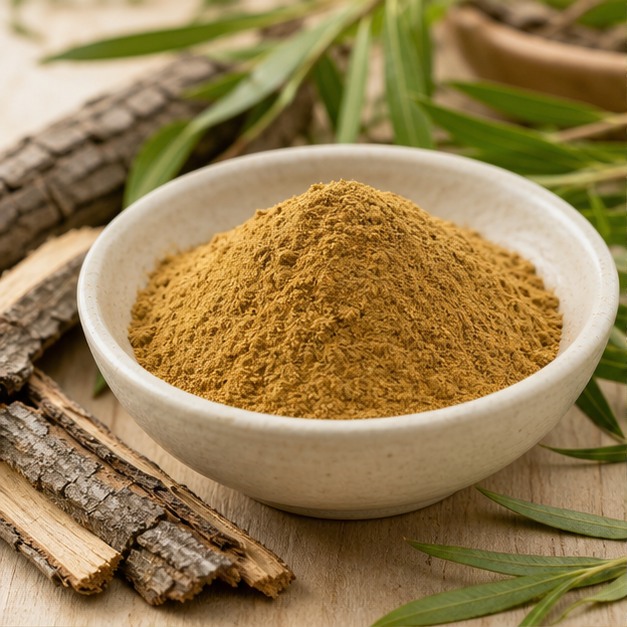 White Willow Bark Extract Powder 10% Salicin hero image