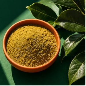 Yerba Mate Leaf Extract Powder 10:1 hero image