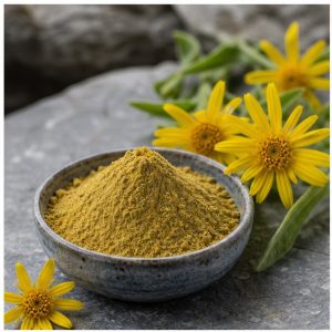 Arnica Flower Extract Powder 10:1 hero image