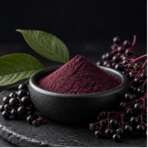 Black Elderberry Fruit Extract Powder 10:1 hero image