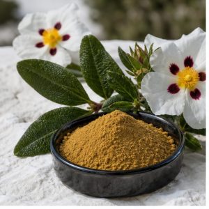 Cistus Ladanifer Leaf Extract Powder 10:1 hero image