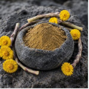 Coltsfoot Peduncle Extract Powder 4:1 hero image