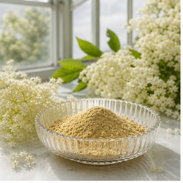 Elderflower Powder hero image
