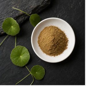 Gotu Kola Whole-Herb Extract Powder 4:1 hero image