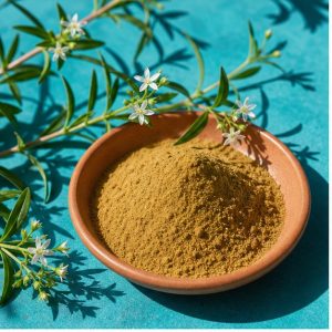 Spreading Hedyotis Whole-Herb Extract Powder 5:1 hero image
