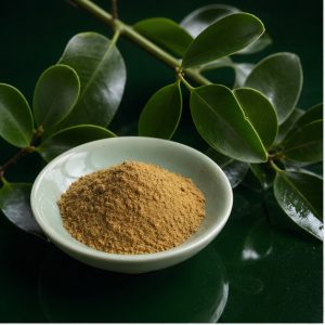 Ilex Stem-and-Leaf Extract Powder 10:1 hero image