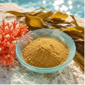 Kelp Whole-Herb Extract Powder 30% Plant Polysaccharides hero image