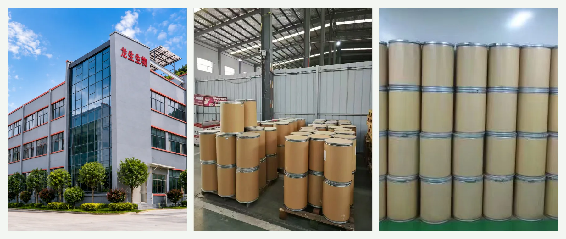 Three complete LongBio photographs showing the manufacturing facility and export-ready botanical ingredient drums