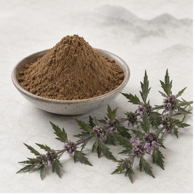 Chinese Motherwort Whole-Herb Extract Powder 4:1 hero image