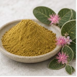 Myrtle Leaf Extract Powder 10:1 hero image