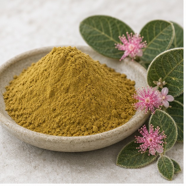 Myrtle Leaf Extract Powder 10:1 hero image