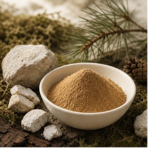 Poria Sclerotium Extract Powder 10:1 hero image