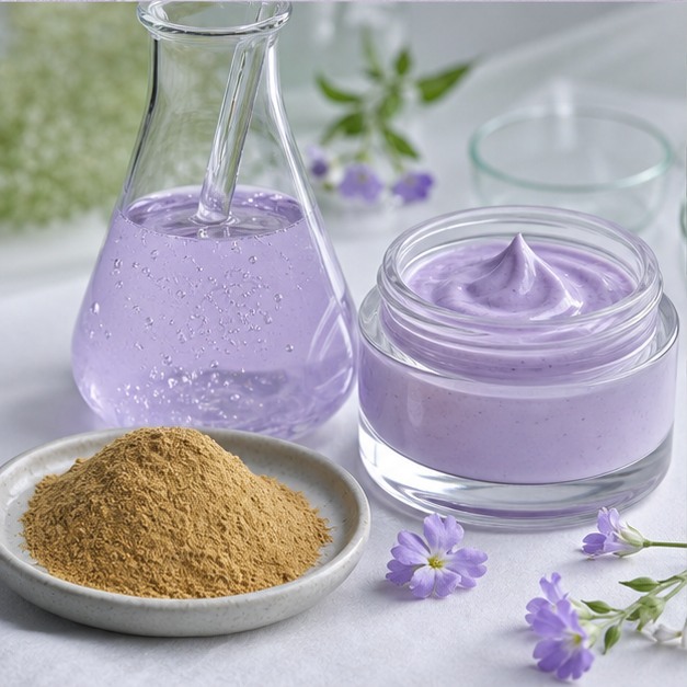 Primula Malacoides Calyx Extract Powder 10:1 applications image