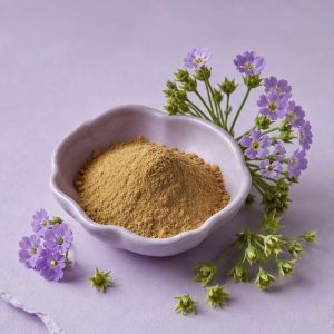 Primula Malacoides Calyx Extract Powder 10:1 hero image