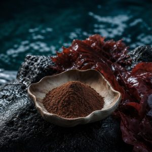 Red Algae Whole-Herb Extract Powder 10:1 hero image