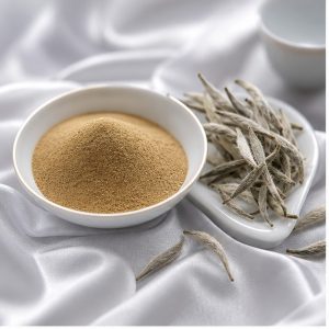 White Tea Leaf Extract Powder 10:1 hero image