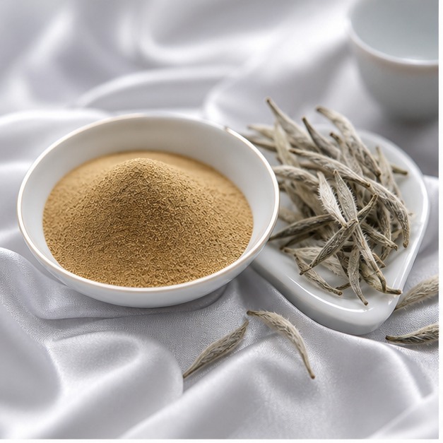White Tea Leaf Extract Powder 10:1 hero image