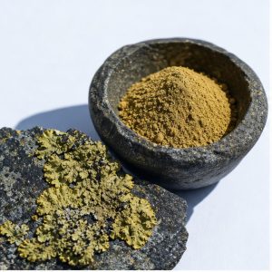 Xanthoparmelia Lichen Extract Powder 4:1 hero image