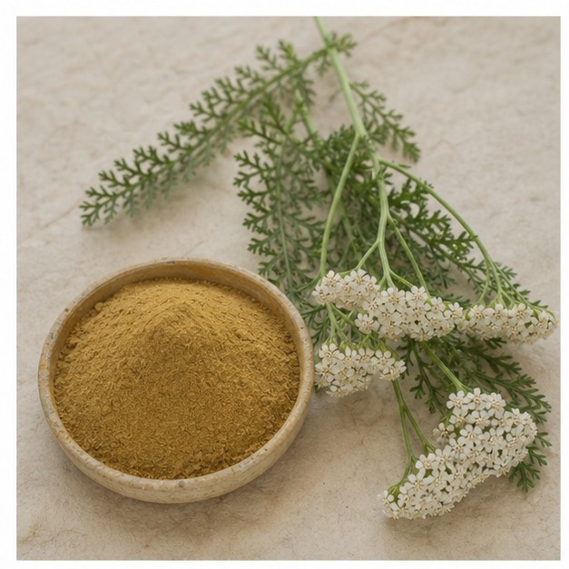 Yarrow Whole-Herb Extract Powder 4:1 hero image