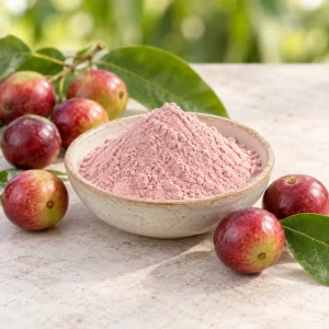 Camu Camu Fruit Extract Powder 5% Vitamin C in a bowl with fresh camu camu fruit