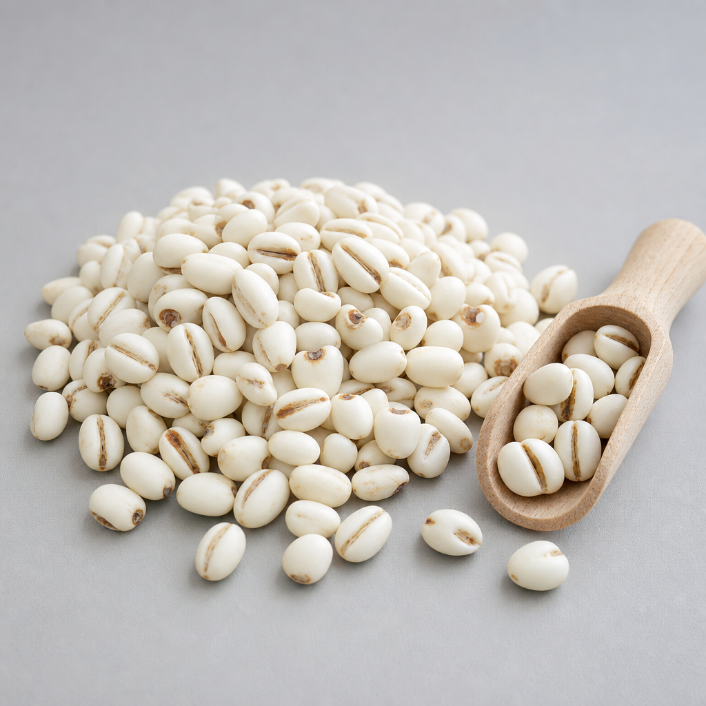 Coix (Job's Tears) Seed Extract Powder 10:1 source image
