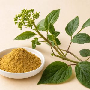 Ginseng Extract Powder 30% Ginsenosides