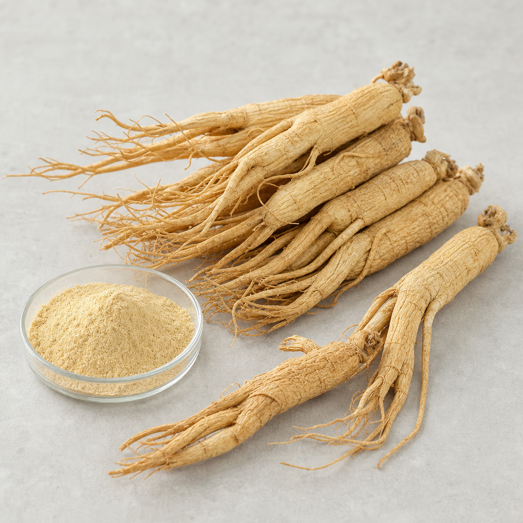 Dried whole Panax ginseng roots with pale tan wrinkled skin arranged in a neat overlapping pile beside a small glass dish of fine light-yellow powder on a neutral light-grey surface