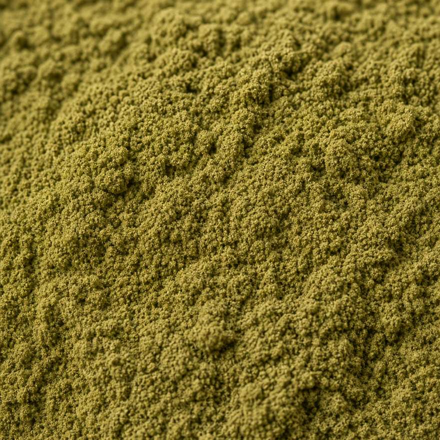 Olive green-brown artemisia extract powder texture close-up