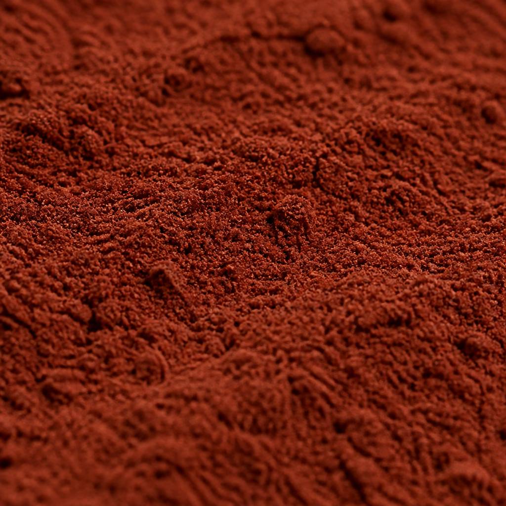 Reddish-brown cynomorium extract powder texture close-up