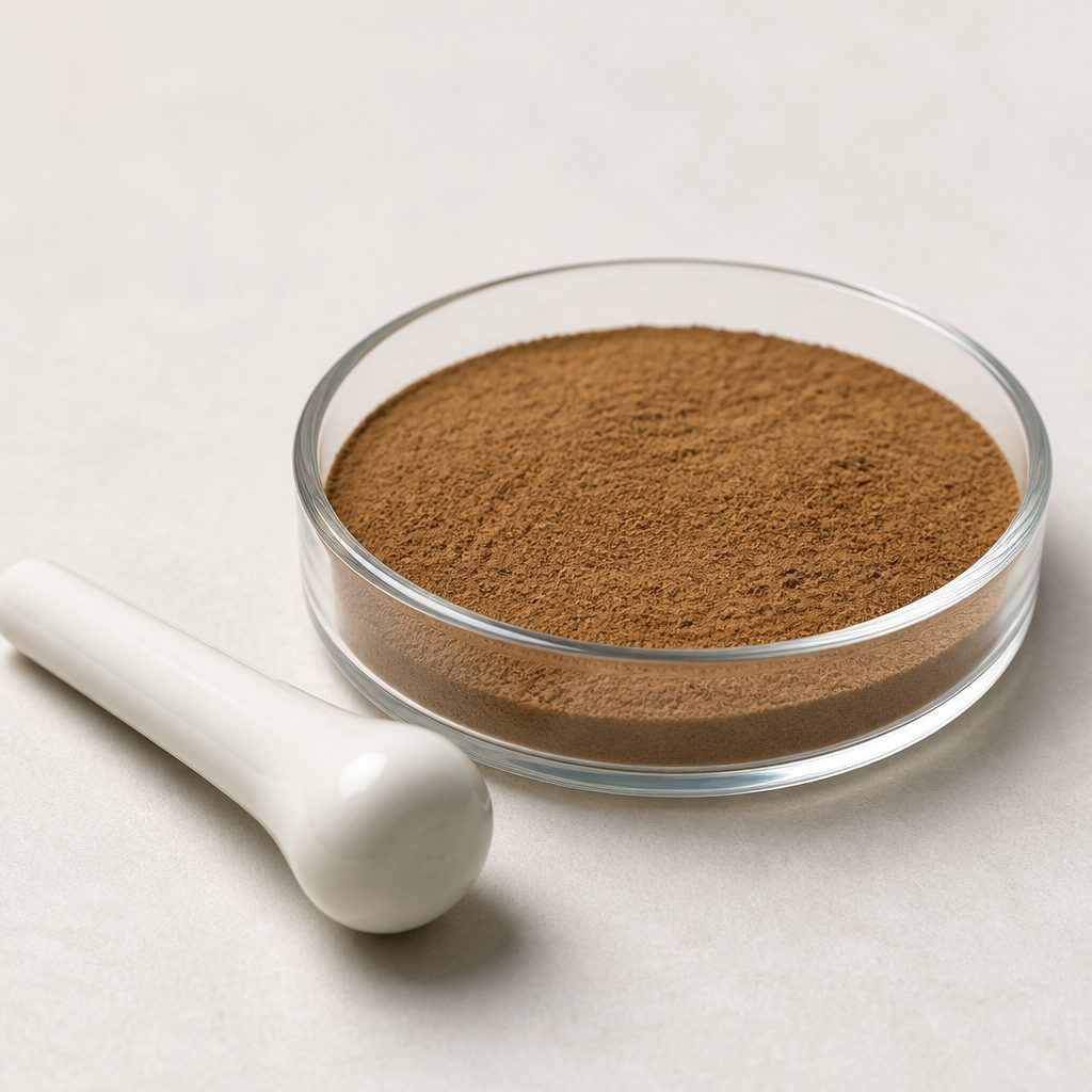 Dichroa root extract powder in a glass dish with an unmarked ceramic pestle