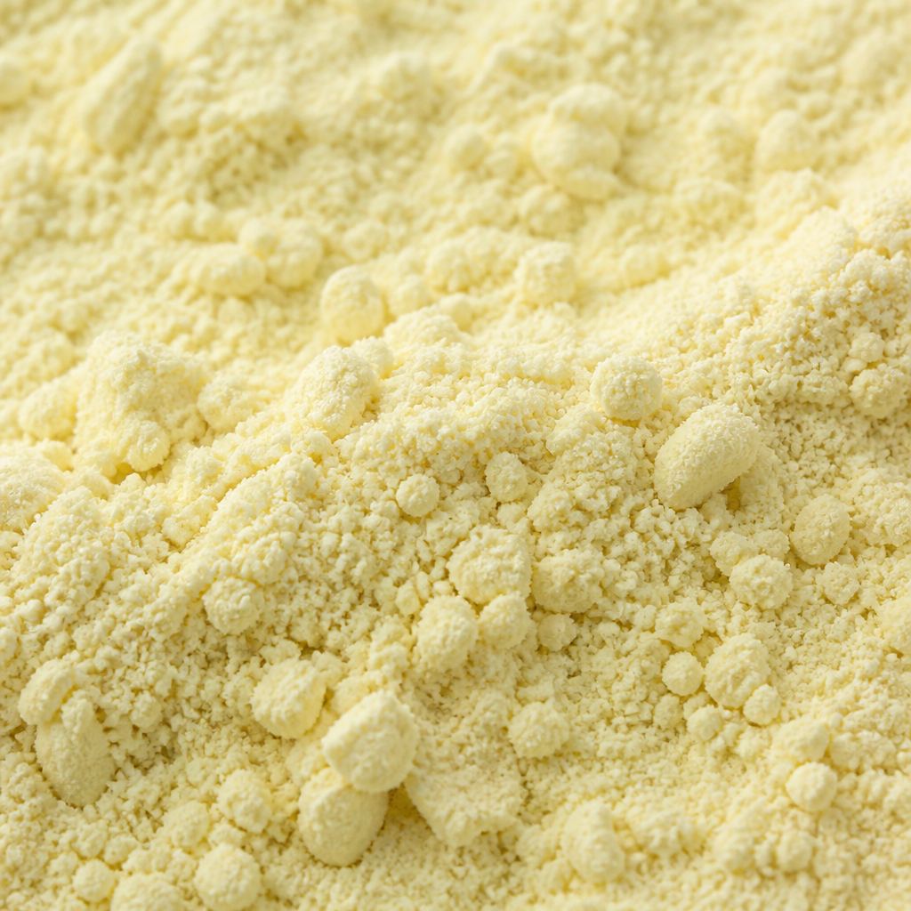 Light yellow to cream granular phosphatidylserine powder, macro texture