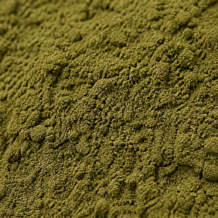 Olive green-brown purslane extract powder texture close-up