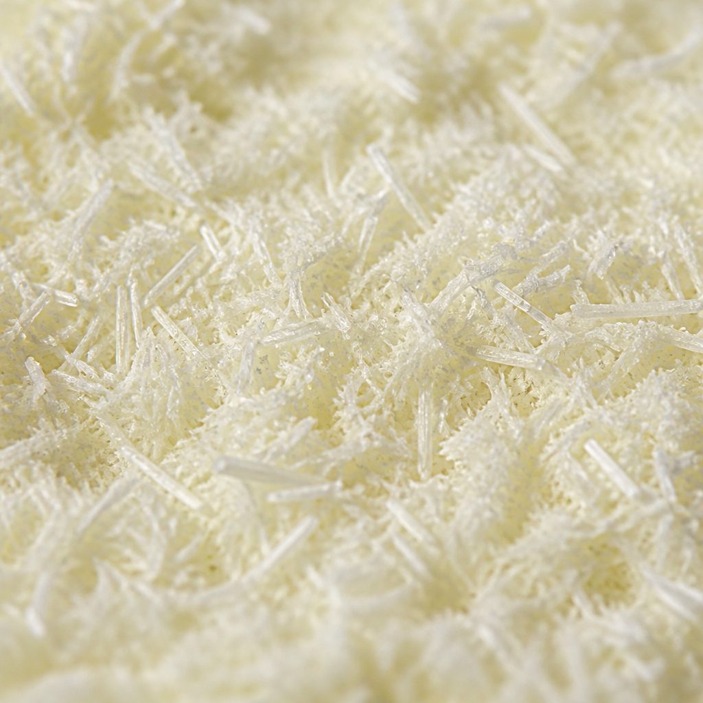 Fine pale yellow needle-like rhaponticin crystals close-up